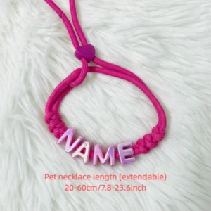 A customized pet collar with a pet name, a pet dog necklace, an outdoor dog walking collar, and customizable pet information