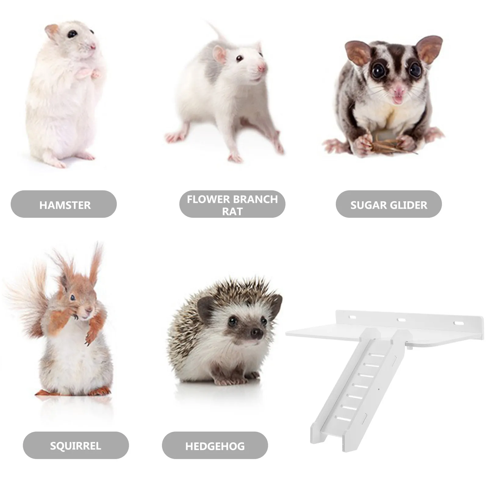 Hamster Cage Platform Strong Bite-Resistant Climbing Board Resting Stand Small Pet Supply Hamsters Gerbils Hedgehogs Accessories - Image 6