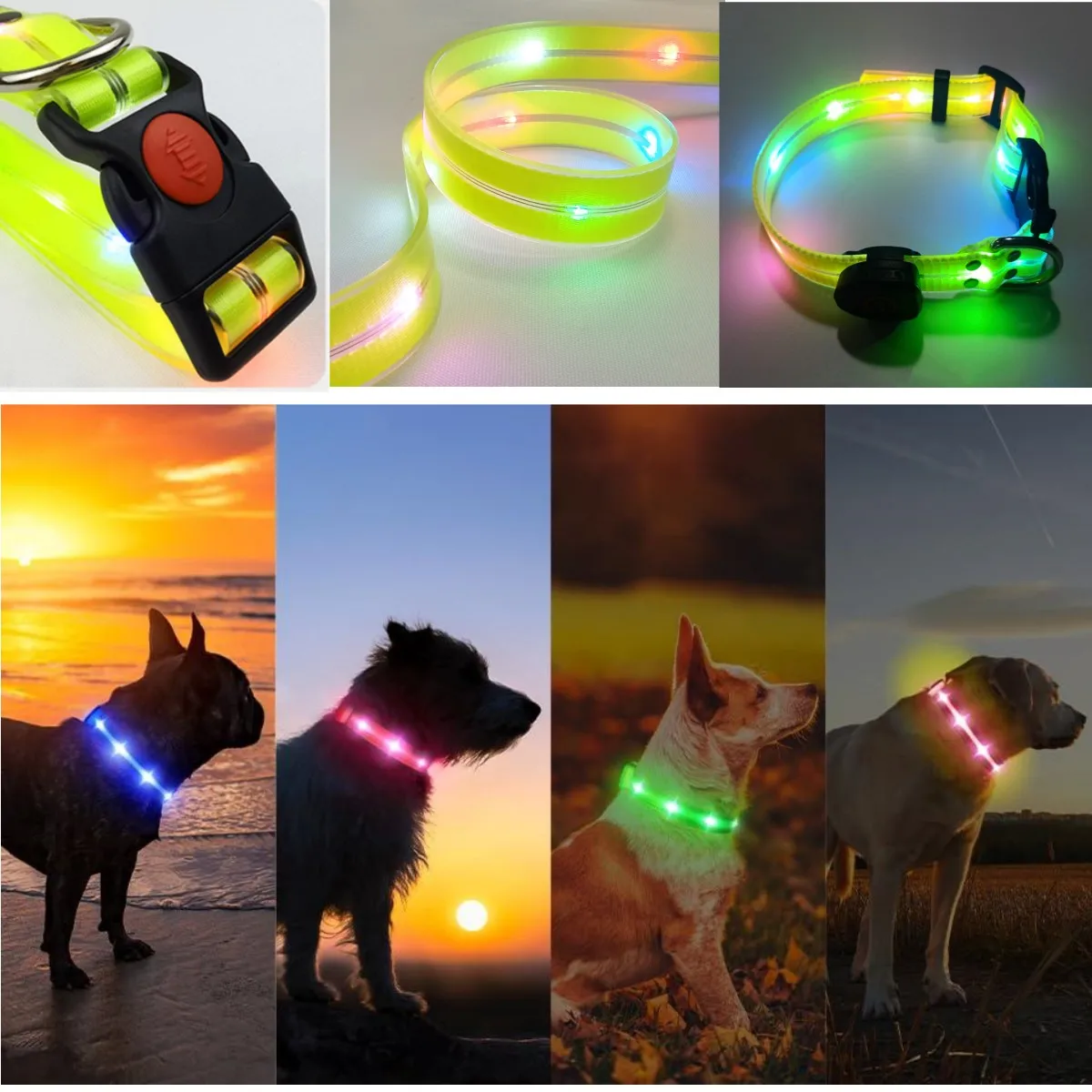 New Adjustable Led Glowing Pet Dog Collar PVC Waterproof Anti Dirty Easy To Clean for Big Small Dogs Puppy Cat Luminous Collar - Image 5