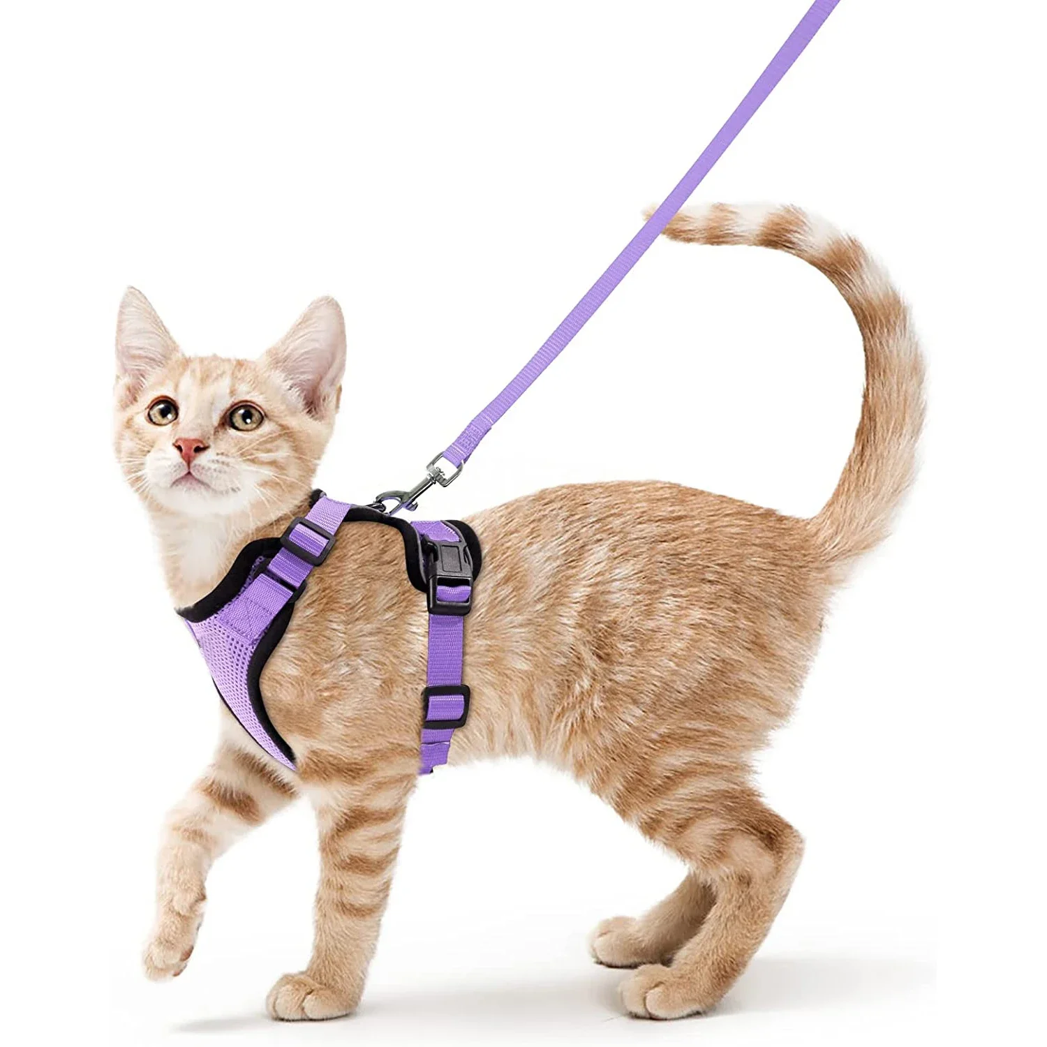 Summer Cat Dog Harness Lead Leash Adjustable Vest Polyester Mesh Breathable Harnesses Reflective for Small Dog Cat Lesah - Image 13