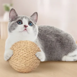 Cat Toy Ball 10cm Large Wear-resistant Paper Rope Sisal Cat Toy Ball Pets Interact and Bite Woven Ball