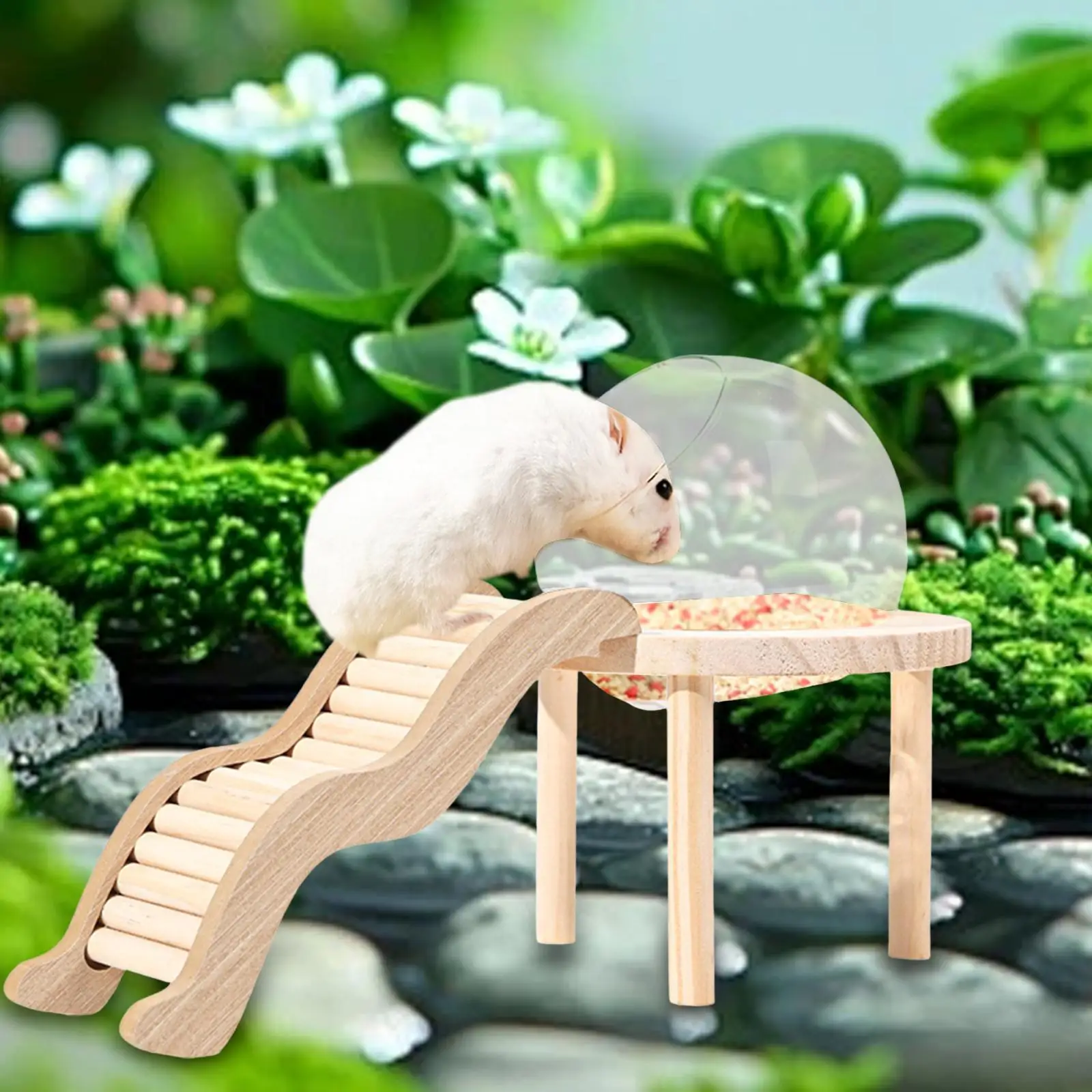 Hamster Sand Bath Container with Wooden Ladder for Pet Supplies Gerbils Mice - Image 4