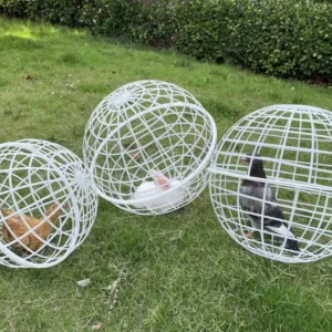 Chicken Rolling Ball Cage Pet Safety Cage Spherical Chicken Orb Ball Cage Ball-Shaped Chicken Hamster Ball Cage Safe