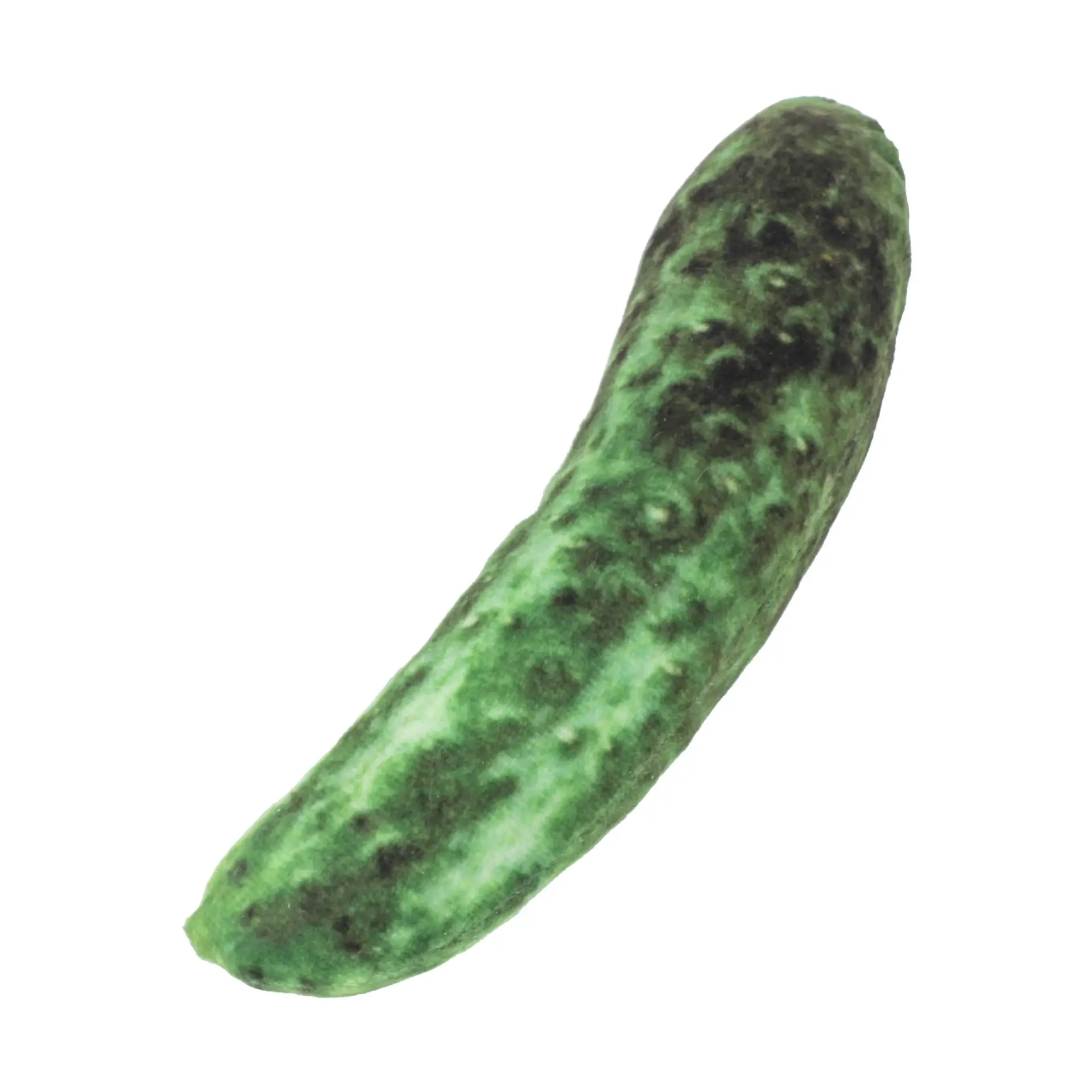 Pet Toy Simulation Vegetable Food Pet Tear-resistant Plush Toy Creative Fun Cat And Dog Toy Vocal Pet Toy - Image 19