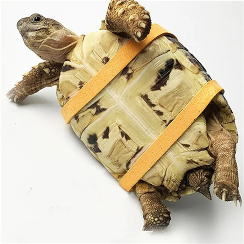 Reptile Harness Leash For Turtle Lizard Soft Deer Skin Velvet Outdoor Training Anti-Lost Walking Lead Pet Accessories - Image 4