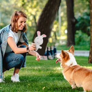 Brushed Cleaning Teeth Toy Built-In Sounder for Pets Accessories (White Rabbit)