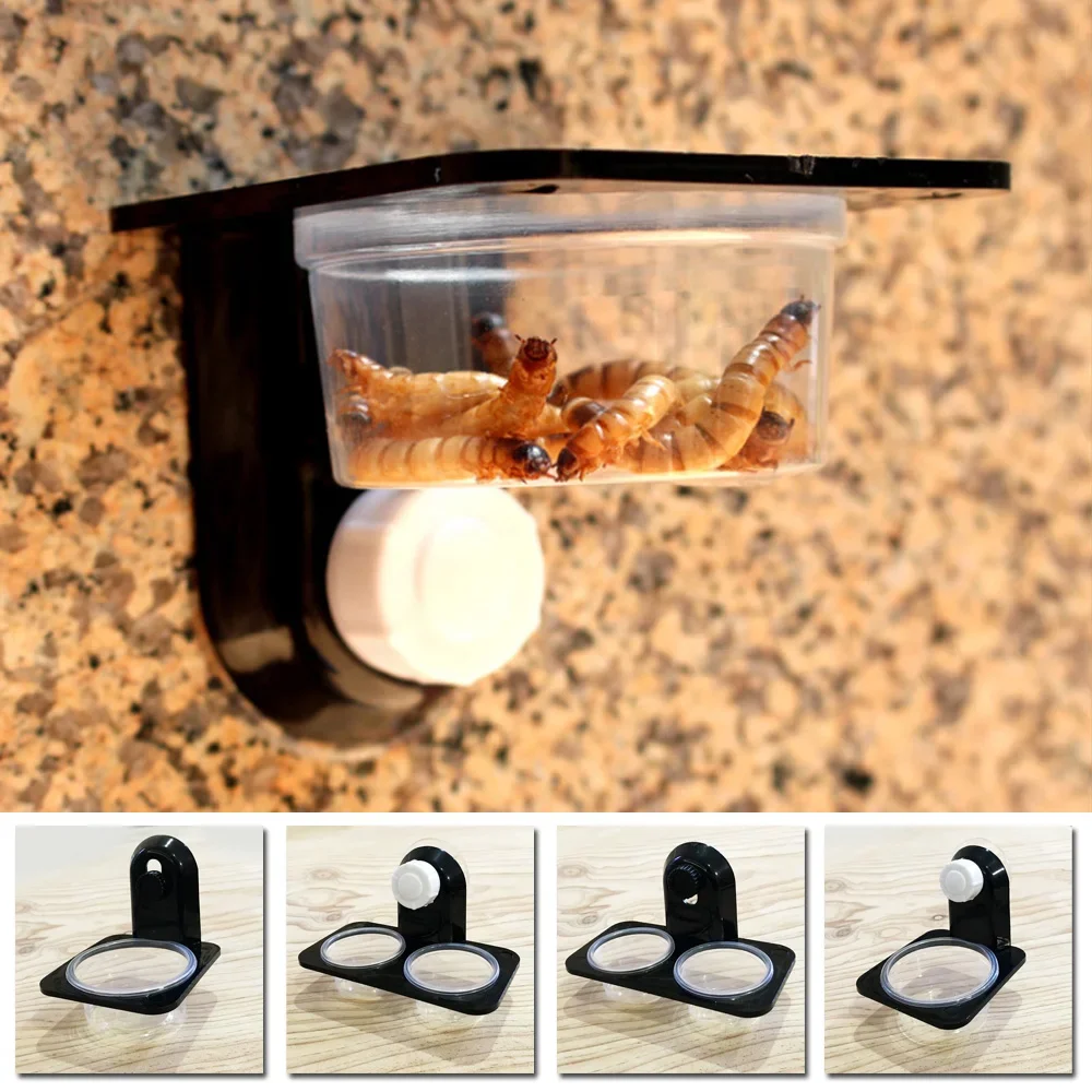 1pcs Reptile Tank Insect Spider Ants Nest Snake Gecko Food Water Feeding Bowl Breeding Feeders Box Pets Supplies - Image 2