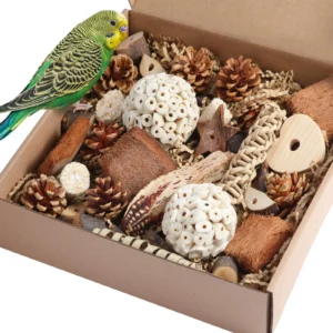 Bird Toys Parrot Natural Bird Foraging Box Foot Toys for Parakeets,Cockatiels,Conures,Love Birds,and Other Small to Medium Birds