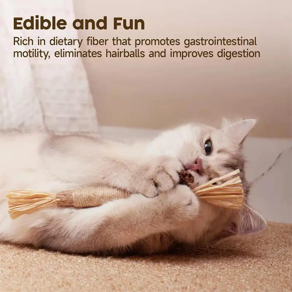 New Cat Toys Natural Matatabi Pet Cat Snacks Stick Cleans Tooth Removers Hair to Promote Digestion Silvervine Kitten Chew Toy - Image 3