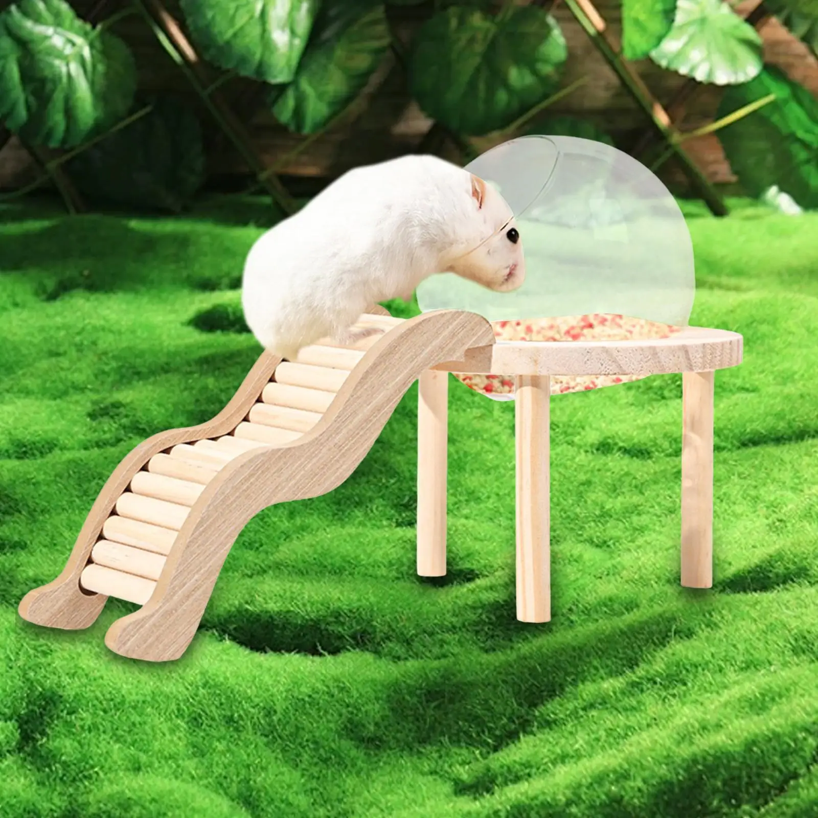 Hamster Sand Bath Container with Wooden Ladder for Pet Supplies Gerbils Mice - Image 3