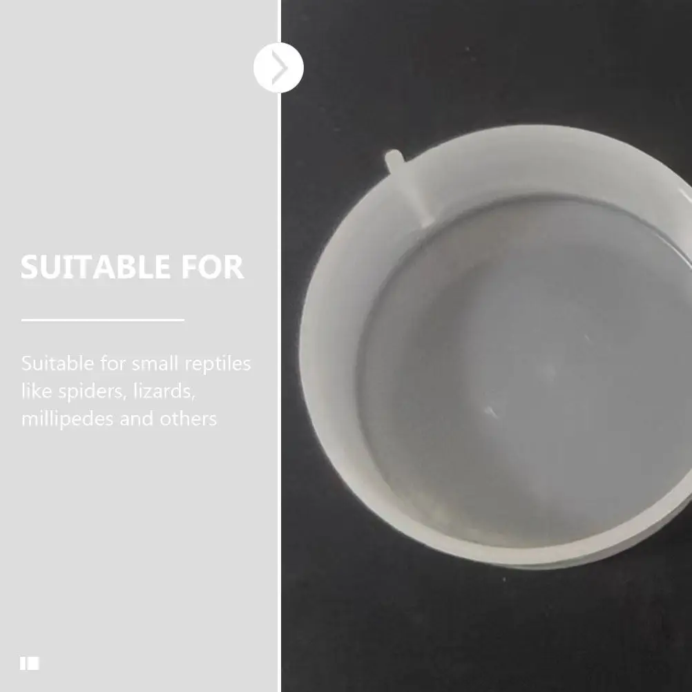 4pcs Reptile Feeding Plates Round Durable Non-Slip Spider Lizard Feed Bowls Water Holders Cage Feeding Supplies Pet - Image 3