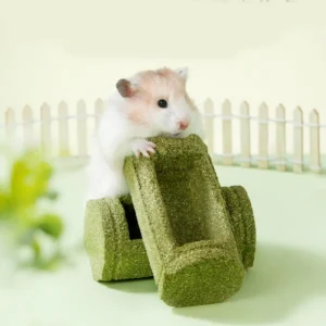 Hamster Chew Toys For Teeth Pet Feeding Bowl Natural Chinchilla Chew Toys For Enrichment Play Hamster Chinchilla Bunny Cage
