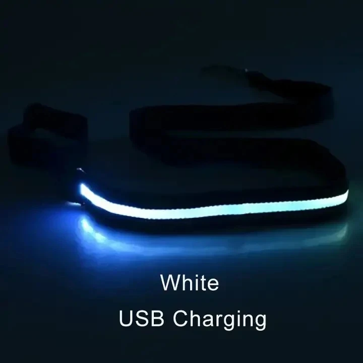 Led Pet Dog Leash Rope With Light Luminous Lead Leash USB Charging for Dog Safety Flashing Glowing Collar Harness Accessories - Image 7