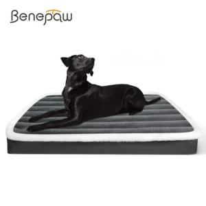 Pet Beds & Furniture