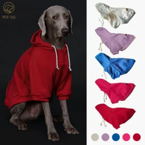 Solid Color Dog Hoodie with Pocket, Leather Patch, Hook and Loop Fastener Collar - Available in 5 Colors