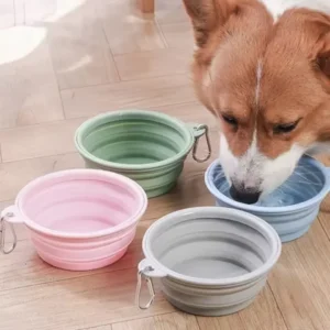 Foldable Silicone Dog Bowl Pet Outdoor Travel Portable Folding Cat Food Water Large Capacity Container Feeding Bowl Pet Supplies