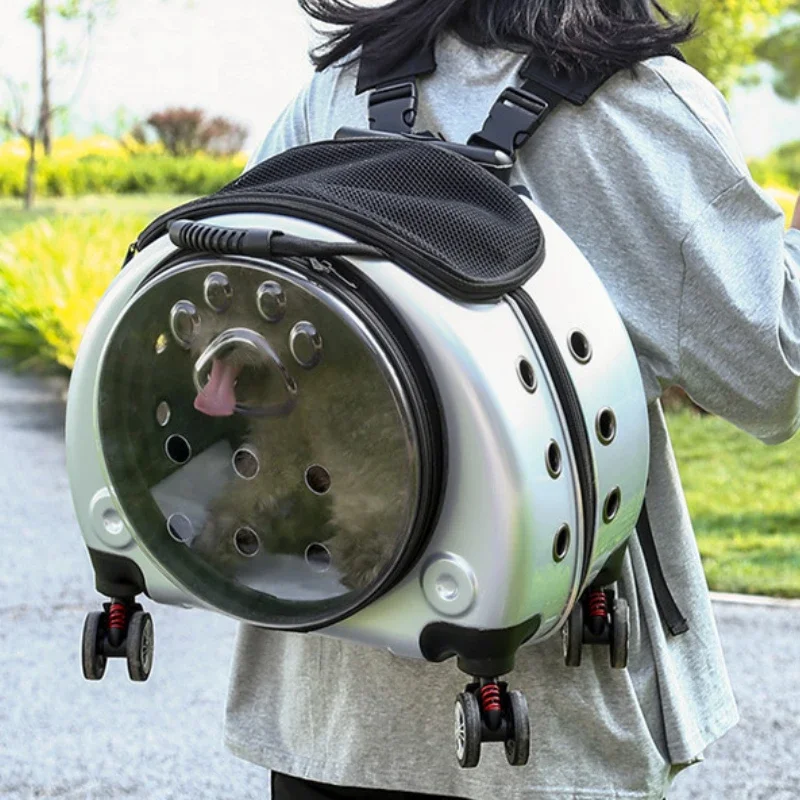 Transparent Cat Bag Multi-purpose Double Shoulder Cat Carrier Large Capacity Backpack for Cats Portable Outdoors Dog Supplies - Image 2