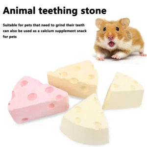 Hamster gnawing teeth grinding teeth cleaning cheese volcanic stone teething stone calcium sodium trace elements small pet toys