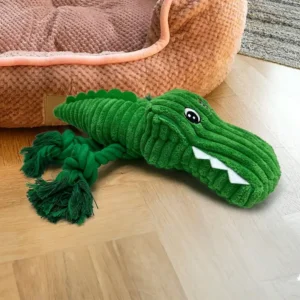 Squeaky plush dog toy, green and comfortable companion crocodile.
