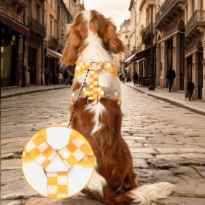 Plaid Dog Harness & Leash Set - Adjustable Soft Padded Vest, Cute Pet Walking Gear for Small Medium Dogs & Cats
