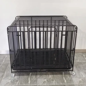 Dog Kennels Cages Collapsible Adult Sale Big Dogs Outdoor Strong Stainless Steel Enclosed Metal Wire Folding Crate Cage Pet