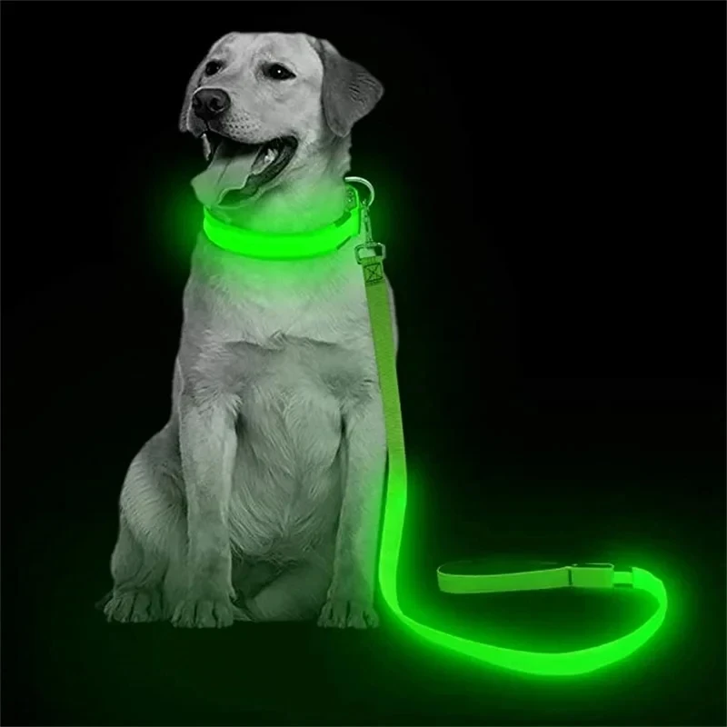 Led Pet Dog Leash Rope With Light Luminous Lead Leash USB Charging for Dog Safety Flashing Glowing Collar Harness Accessories - Image 3