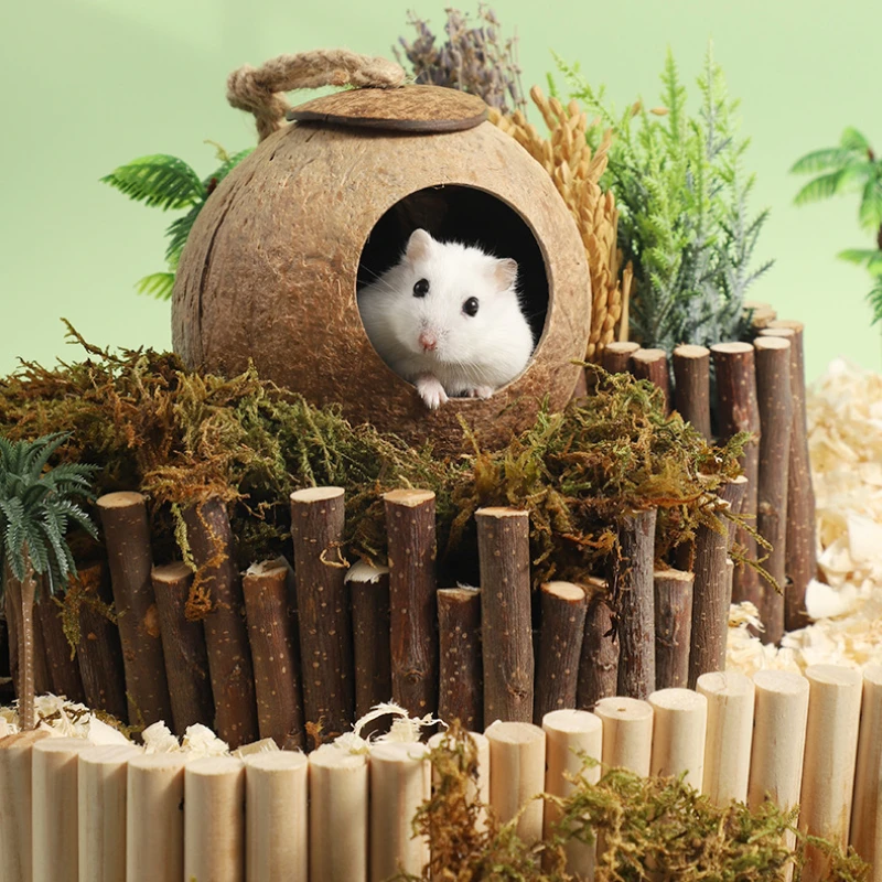 Hamster House Bite-resistant Natural Small Pet Coconut Cages Guinea-pig Hamster Hideout House Toy Wooden House Pet Supplies - Image 2