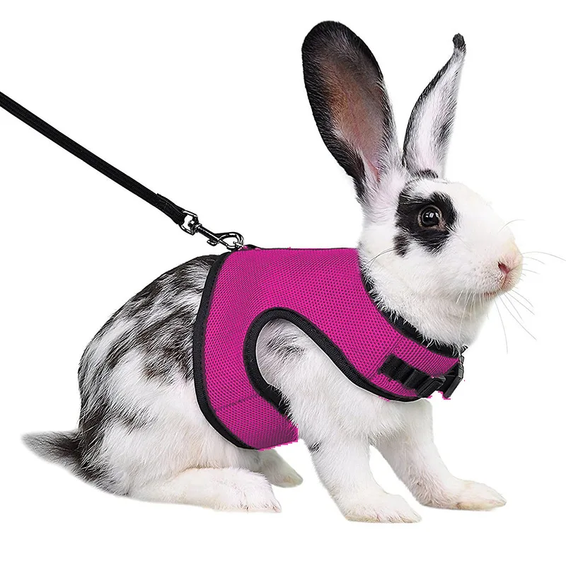 Mesh Breathable Ferret Bunny Harness Leash Set for Small Animals Rabbit Hamsters Summer Walking Pet Lead mascotas Accessories - Image 7