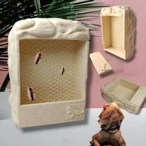 Decoration of natural feeding troughs for crawling amphibians such as bearded dragons, geckos, and chameleons