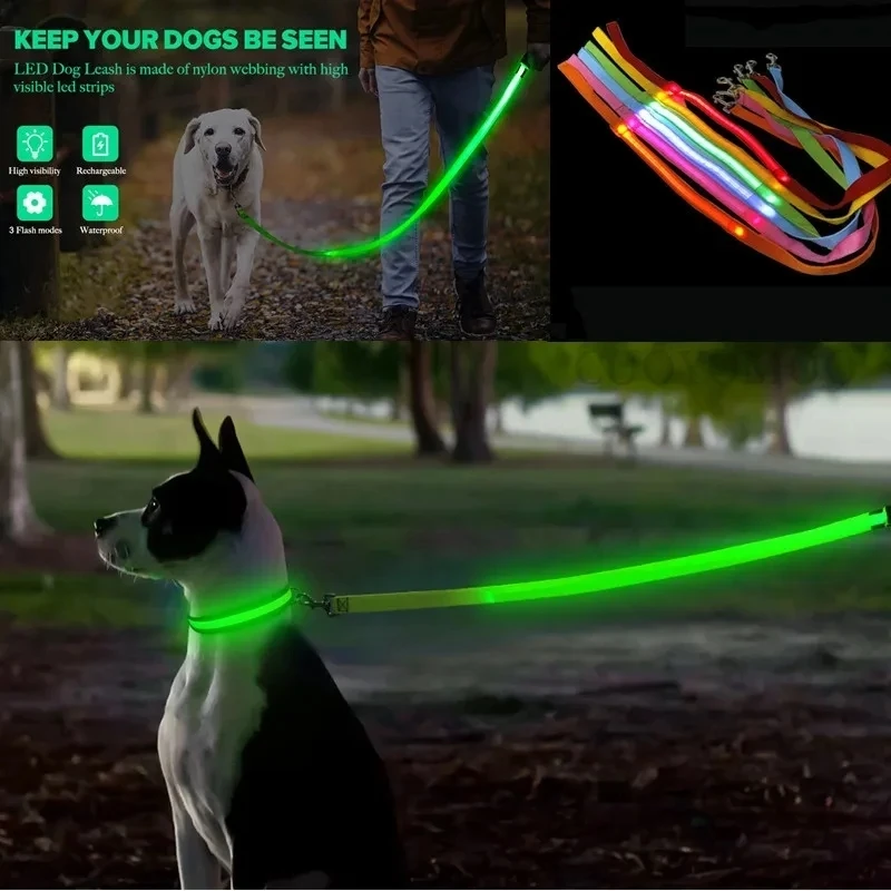 Led Pet Dog Leash Rope With Light Luminous Lead Leash USB Charging for Dog Safety Flashing Glowing Collar Harness Accessories - Image 4