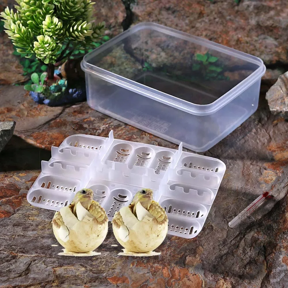 16 Grids Reptiles Egg Incubator Tray Lizard Snake Eggs Hatcher Plastic Case Box - Image 4
