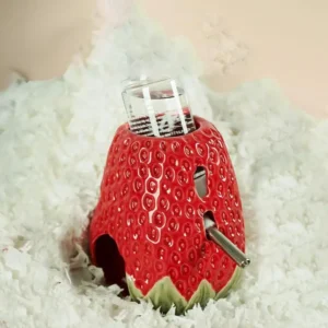 Hamster Water Bottle Holder Strawberry Ceramic Hamster Water Bowl Creative Small Pet Cage Accessories Mice Feeding Supplies for