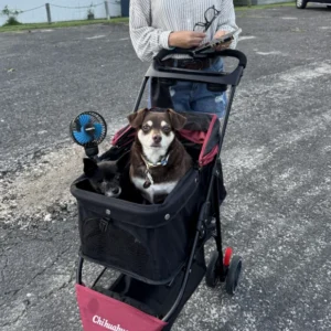 Portable Foldable Pet Stroller for Small Dogs & Cats, Travel Carrier with Canopy, Storage Basket