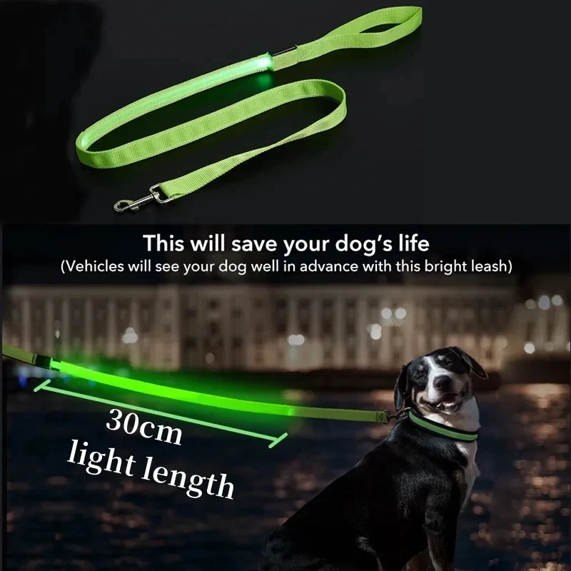 Led Pet Dog Leash Rope With Light Luminous Lead Leash USB Charging for Dog Safety Flashing Glowing Collar Harness Accessories - Image 6