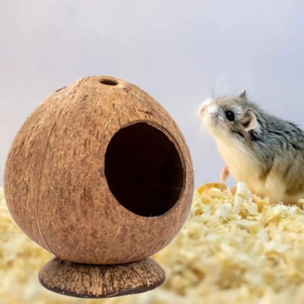 Coconut Hamster House Bite Resistance Warm Bite-resistant Natural Coconut Shell Wear Resistant Guinea-pig Hamster Hideout House - Image 4