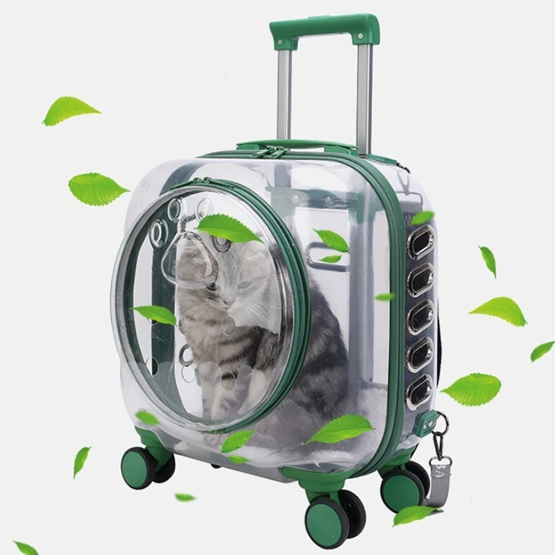 Outdoor Cats Backpack Pet Transparent Cat Accessories Bag Large Capacity Breathable Kitten Cat Carrier Women's Shoulder Bags - Image 4