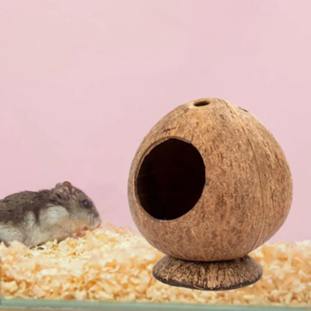 Coconut Hamster House Bite Resistance Warm Bite-resistant Natural Coconut Shell Wear Resistant Guinea-pig Hamster Hideout House - Image 2