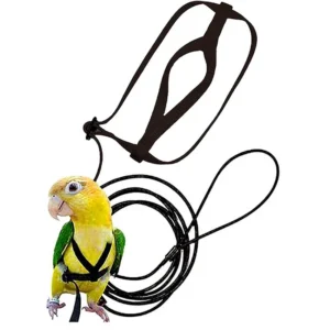 Parrot Bird Harness Leash Outdoor Activities Flying Traction Straps Band Flying Rope For Small Parakeets Cockatiels Bird NEW