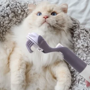 3-in-1 Pet Bath Comb Press Spray Detachable Pet Cleaning Comb Soft Bristle with A Spray Bottle Cat Grooming Brush Pet Shedding