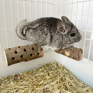 Natural Apple Wood Animal Chew Stick for Rabbits Chinchillas Parrots Anti Bite Molar Toy Cage Wooden Stand Station Exercise