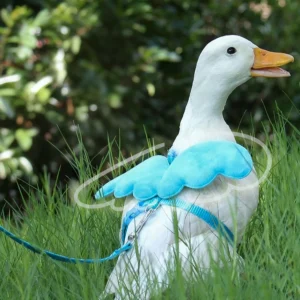 Angel Pet, Callduck Harness Leash, suitable for cats, rabbits, Callduck, pet chickens, turtles, small pet harness, gift