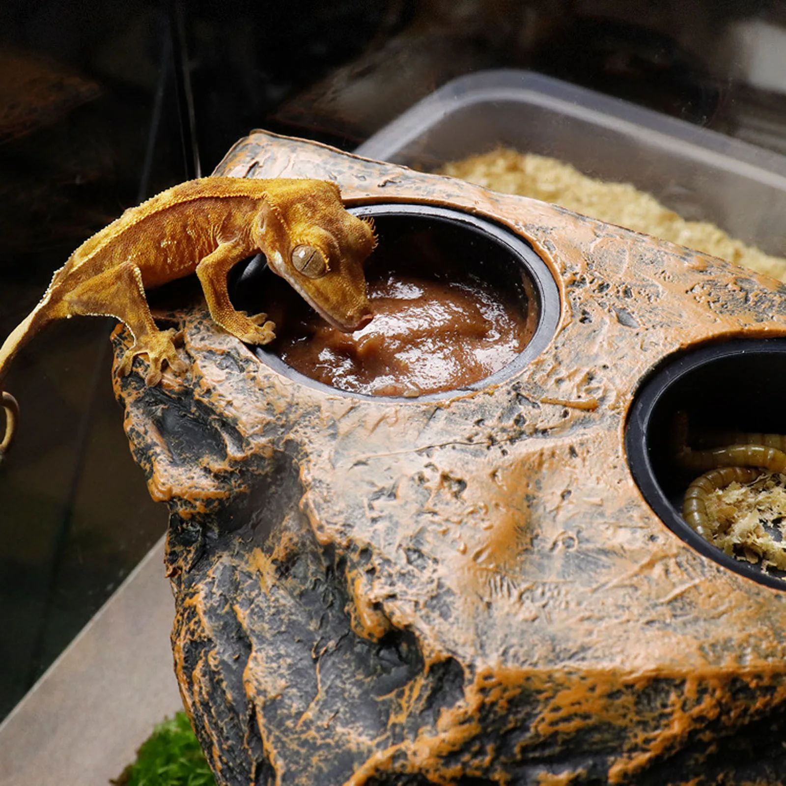 Reptile Magnetic Feeder Ledge Reptile Food Water Dish Bowl Terrarium Tank Decor Accessories for Gecko Lizard Chameleon Pets - Image 3