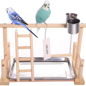 Parrot Playstand Bird Plays Stand Cockatiel Playground Wooden Perch Gym Playground Ladder with Metal Feeder And Cup Holder