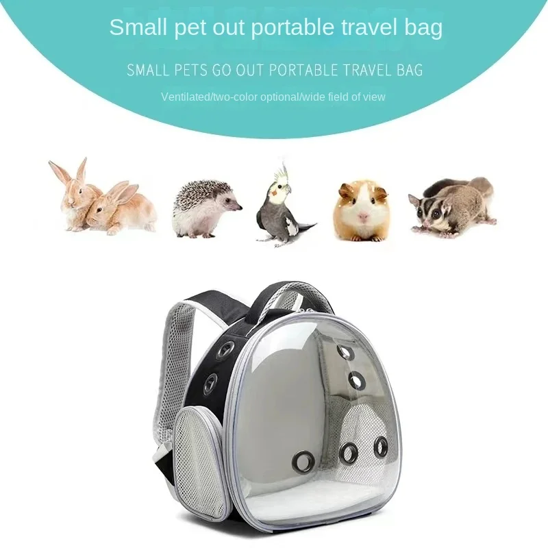 Transparent Pet Backpack for Hamsters Small Carrier for Guinea Pigs Sugar Gliders Ferrets Rabbits Convenient Pet Transport - Image 3