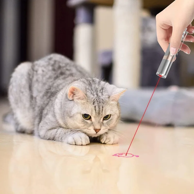Cat Laser Pointer Toys Usb Rechargeable Adjustable Cute Patterns Interactive Kitten Dog Red Dot Chase Light Toy Pet Supplies - Image 3