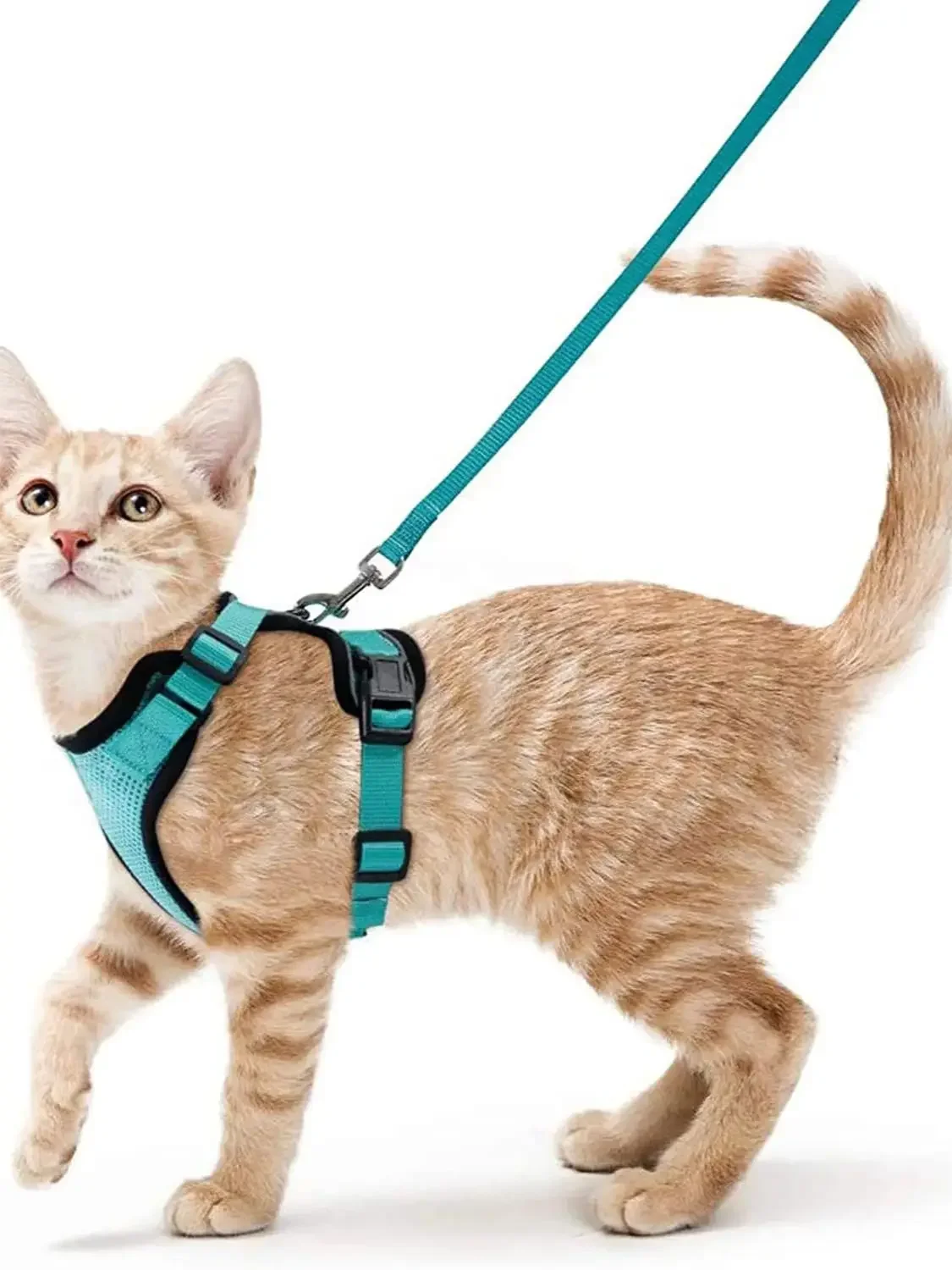 Summer Cat Dog Harness Lead Leash Adjustable Vest Polyester Mesh Breathable Harnesses Reflective for Small Dog Cat Lesah - Image 7