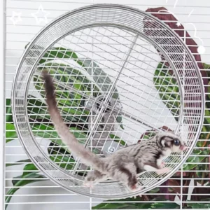 Stainless Steel Silent Exercise Wheel for Sugar Glider Hanging Pet Toy Spinner Easy-to-Clean Nail Trimming Glider Running Toy