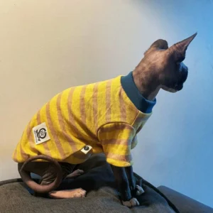 Cat Clothing Spring Summer Cotton T-shirt Striped Long Sleeves Coat for Sphynx Cat Fashion Jumpsuit Yellow Pajamas for Kittens