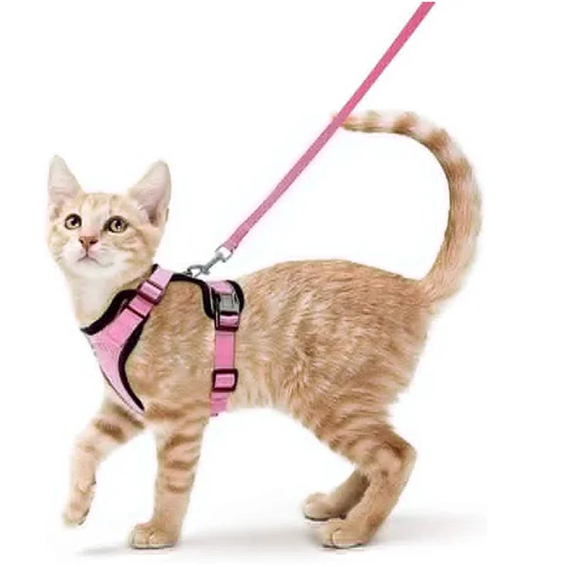 Summer Cat Dog Harness Lead Leash Adjustable Vest Polyester Mesh Breathable Harnesses Reflective for Small Dog Cat Lesah - Image 17
