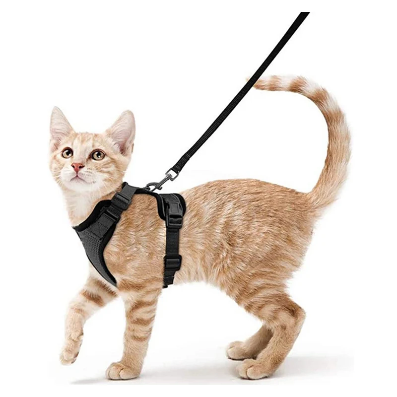 Summer Cat Dog Harness Lead Leash Adjustable Vest Polyester Mesh Breathable Harnesses Reflective for Small Dog Cat Lesah - Image 11